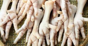 patitas de pollo
