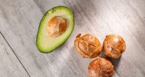 semilla de aguacate destacada